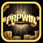 PRPVIN Game New APK Download