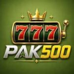 PAK 500 New Version