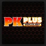 PAKPLUS Update Earning Game